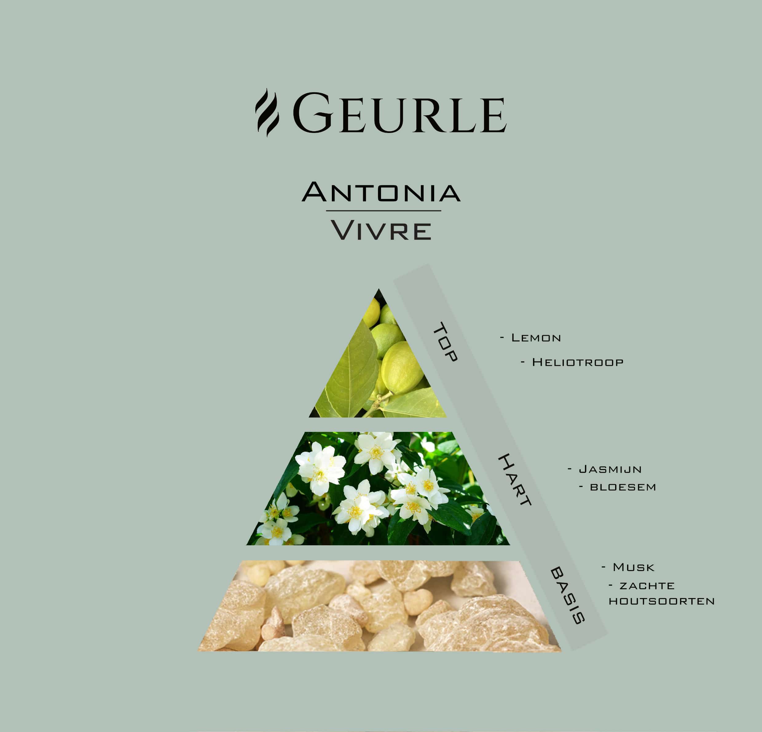 Geurpiramide Antonia Vivre
